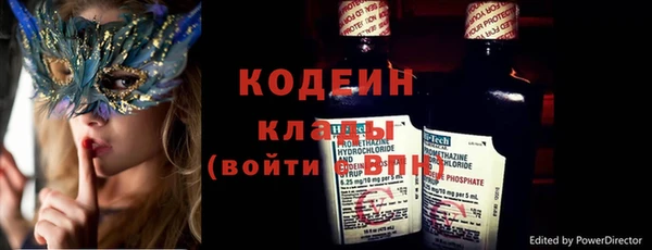шишки Заводоуковск