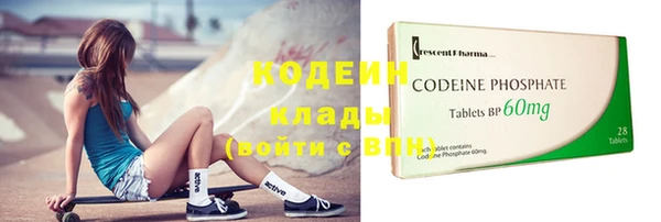 шишки Заводоуковск