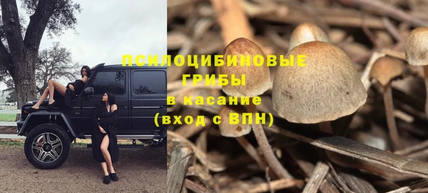шишки Заводоуковск