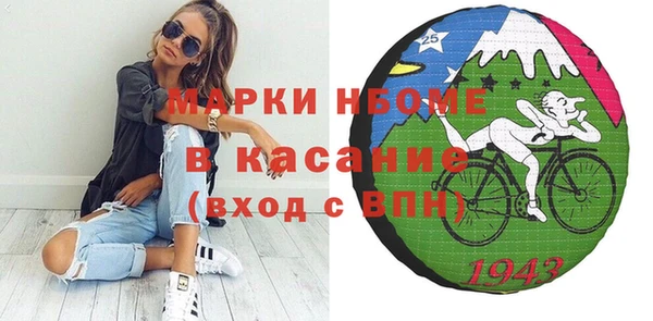 шишки Заводоуковск