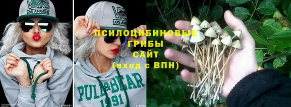 шишки Заводоуковск