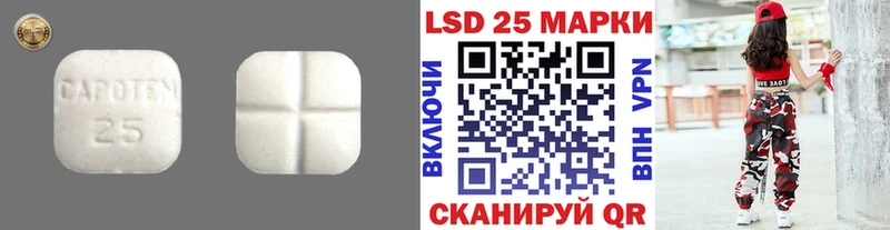 LSD-25 экстази ecstasy Купить Камешково