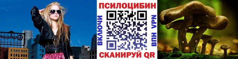Псилоцибиновые грибы Psilocybine cubensis  Купить  Камешково 